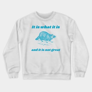 It Is What It Is And It Is Not Great Funny Raccoon Crewneck Sweatshirt